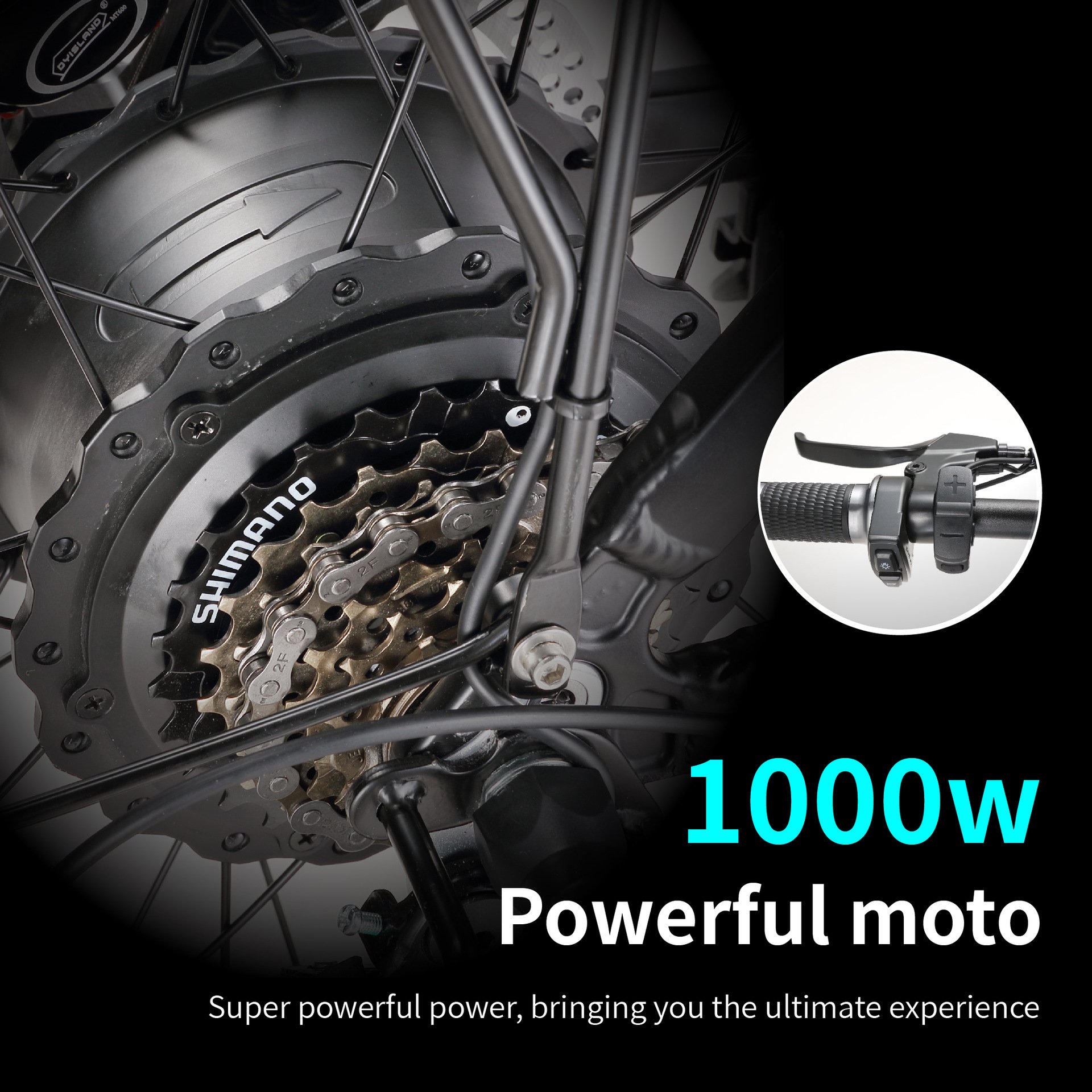 USA Warehouse High Speed 1000W Electric Bike for Adult,60KM/H Electric Bike Fat, Hydraulic Brake Beach Mountain ebike Bicycle