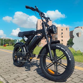 20 Inch Fat Tire Electric Bike 2000w 48v 40ah 50km Bicycle Mountain Cycling Off-road 48v City Ebike Alloy Frame For Adults