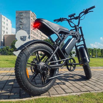 20 Inch Fat Tire Electric Bike 2000w 48v 40ah 50km Bicycle Mountain Cycling Off-road 48v City Ebike Alloy Frame For Adults