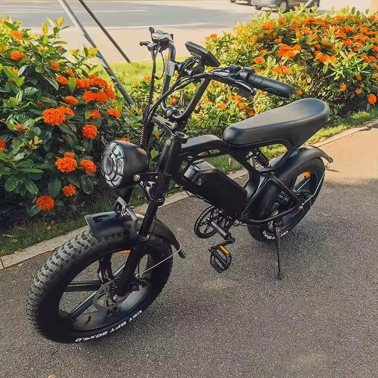 20 Inch Fat Tire Electric Bike 2000w 48v 40ah 50km Bicycle Mountain Cycling Off-road 48v City Ebike Alloy Frame For Adults