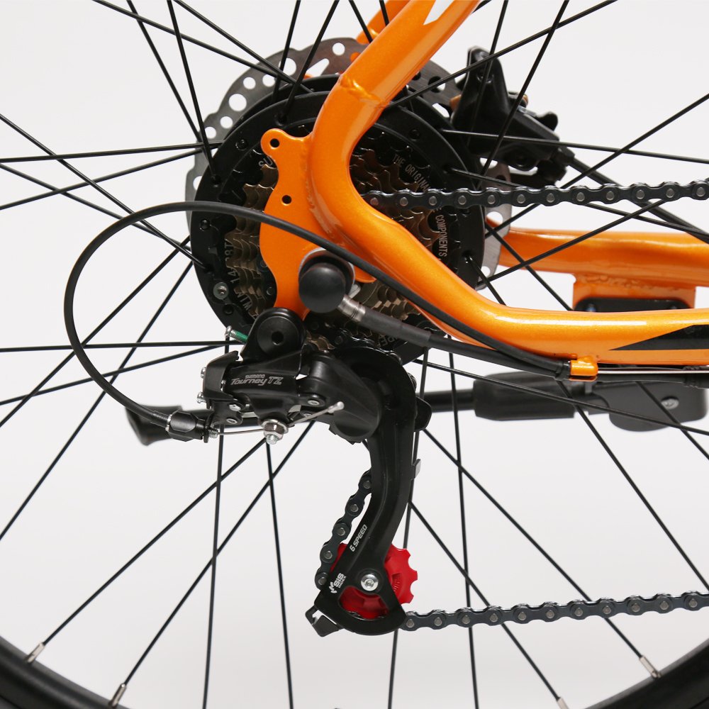 TXED Chinese Cheap 26 Inch electric mountain bike Full Suspension Steel Frame 21 Speed 36V/250W mountain bike electric Bicycle