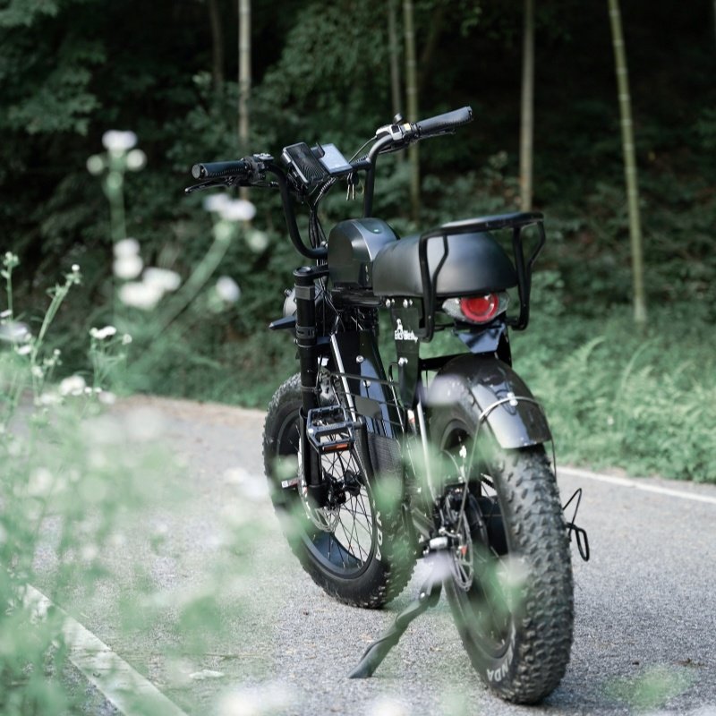 Cheap Lithium Battery Color Lcd Black 48v Voltage Mountain Bike Puckipuppy 750w Electric Bicycle