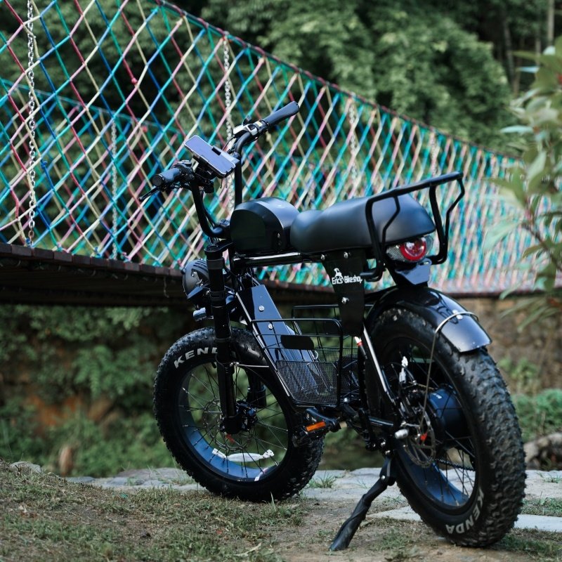 Cheap Lithium Battery Color Lcd Black 48v Voltage Mountain Bike Puckipuppy 750w Electric Bicycle