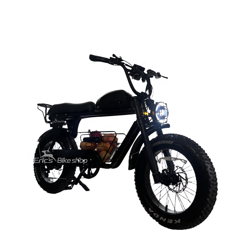 Cheap Lithium Battery Color Lcd Black 48v Voltage Mountain Bike Puckipuppy 750w Electric Bicycle