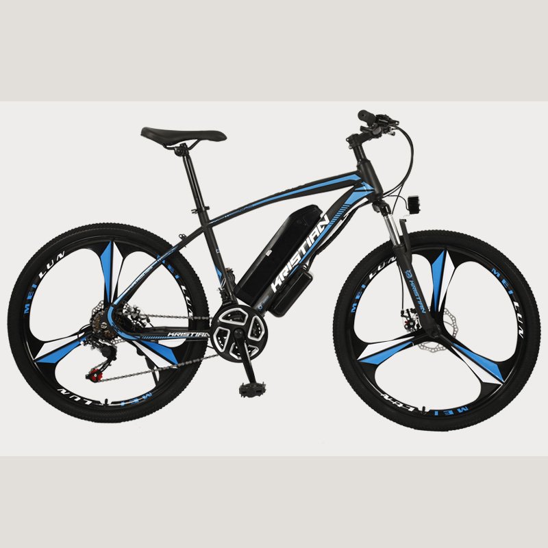 Fast Sports Warehouse Electric Bikes 36v Dirt Bike and Mountain Bike for Walking and Bicycling