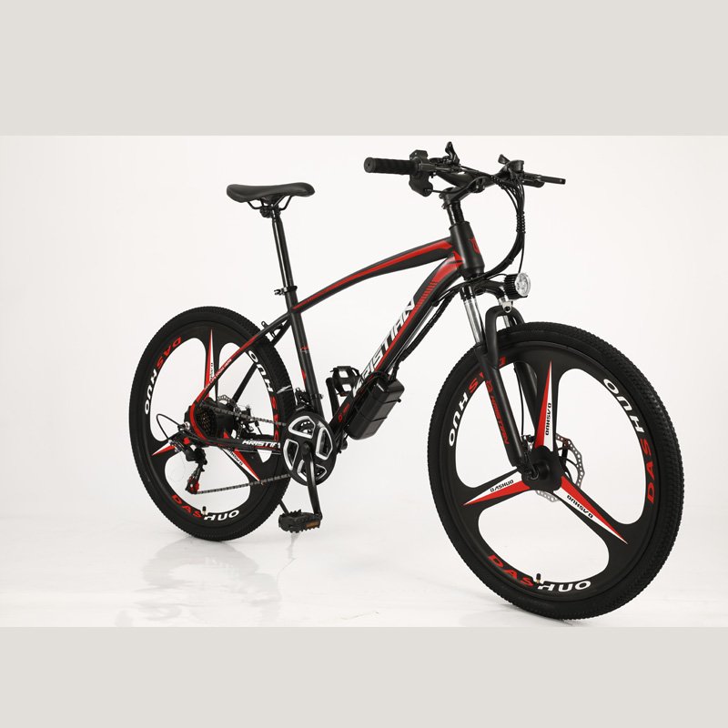 Fast Sports Warehouse Electric Bikes 36v Dirt Bike and Mountain Bike for Walking and Bicycling