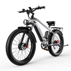 750W*2