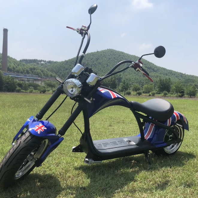 2000W Steel Frame Electric Scooters Battery Removable Chopper Frame Fat Tire Electric Motorcycle Scooter Citycoco City Bike