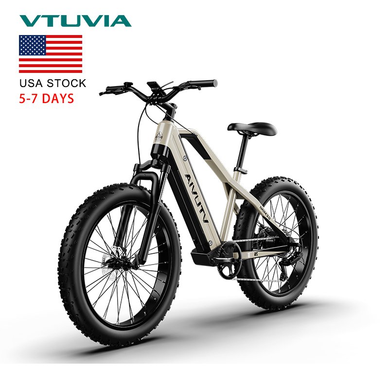 USA Warehouse Cheap 1000w 52v Motor Fat Tire Fast Speed Electric Mountain Dirt Bike City Bicycle From Chinese For Adults