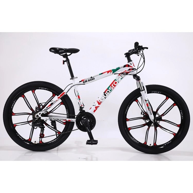 OEM chinese electric bike 650w mountain bikes indonesia 650 mtb frame for men
