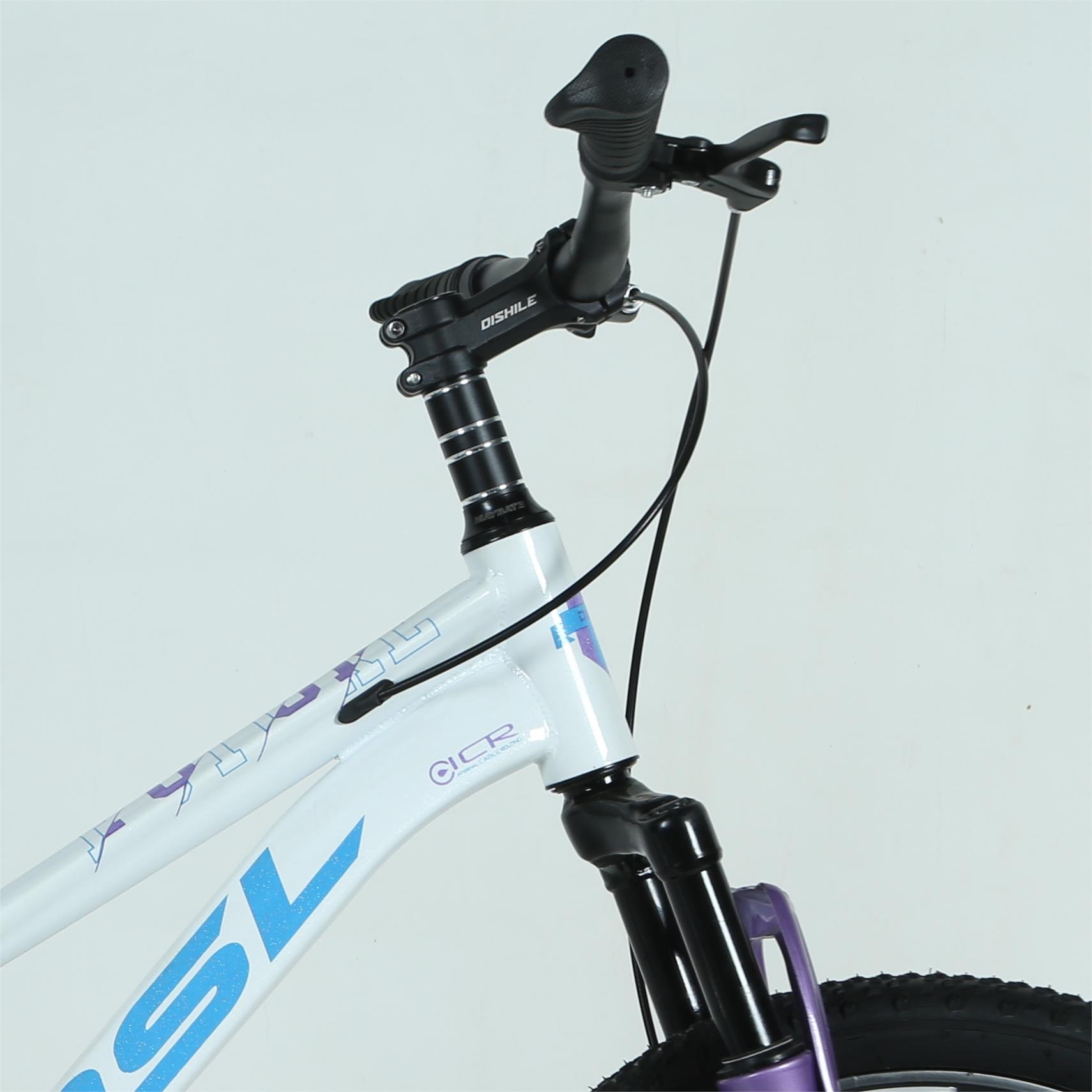 Wholesale bicicletas mountain bike 18inch 20inch multicolor optional unisex universal sports bicycles 21 speed mountain bike