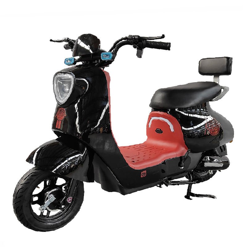Electric City Bike 60V 2 Person Electric Bicycle 30AH Electric Bikes 2023 Electric Bicycle