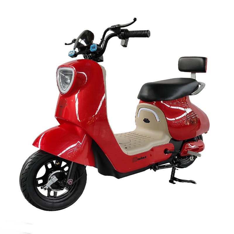 Electric City Bike 60V 2 Person Electric Bicycle 30AH Electric Bikes 2023 Electric Bicycle