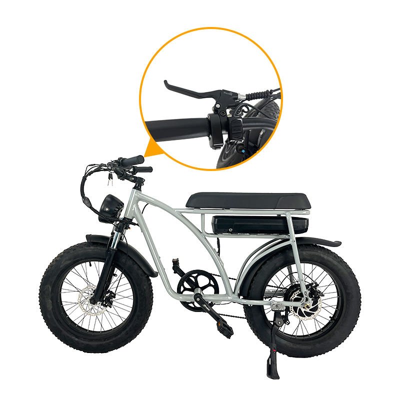 48V Lithium Battery Retro City Commuting Electric Bike, Road Mountain Electric Bike, 31Mph Electric Mountain Bike