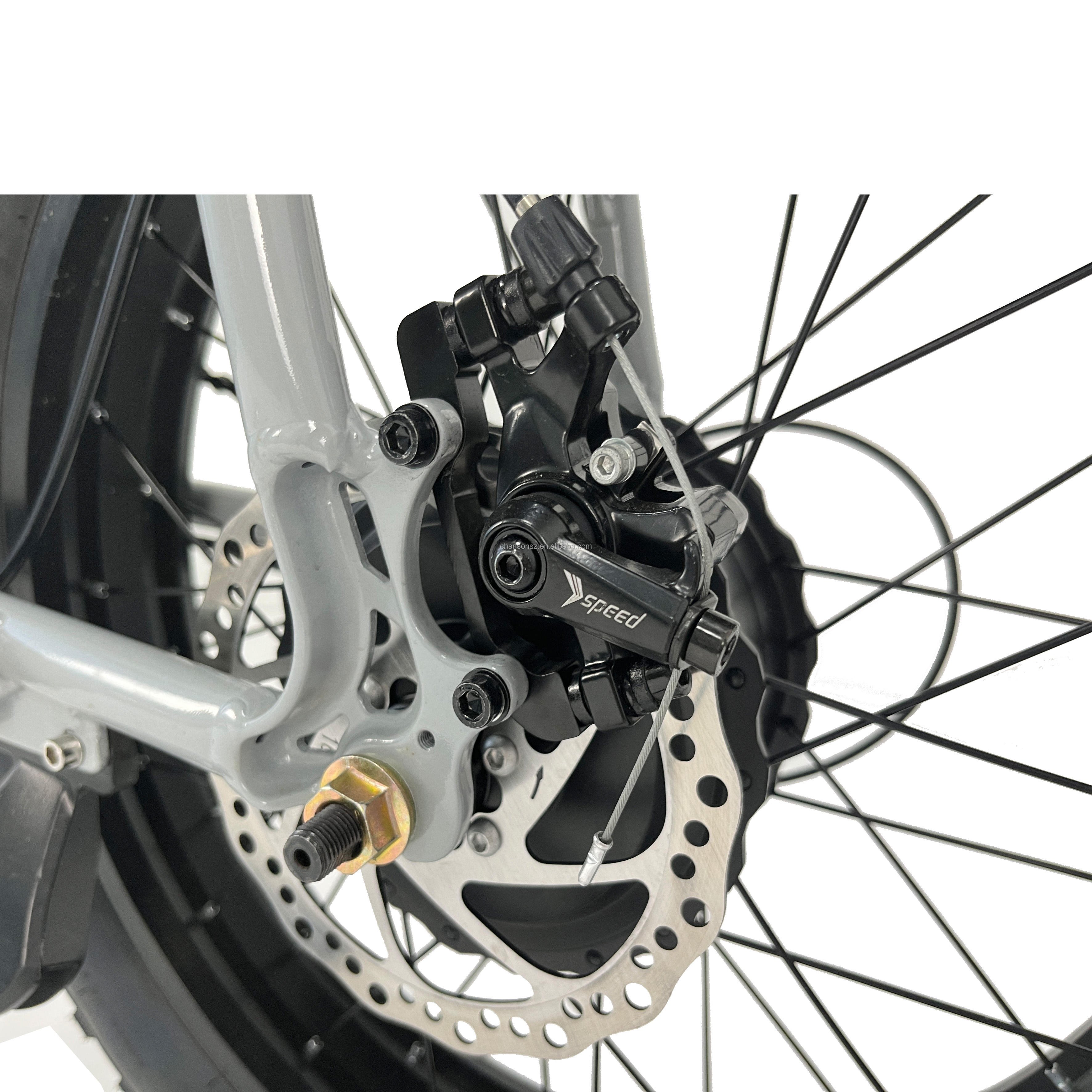 48V Lithium Battery Retro City Commuting Electric Bike, Road Mountain Electric Bike, 31Mph Electric Mountain Bike