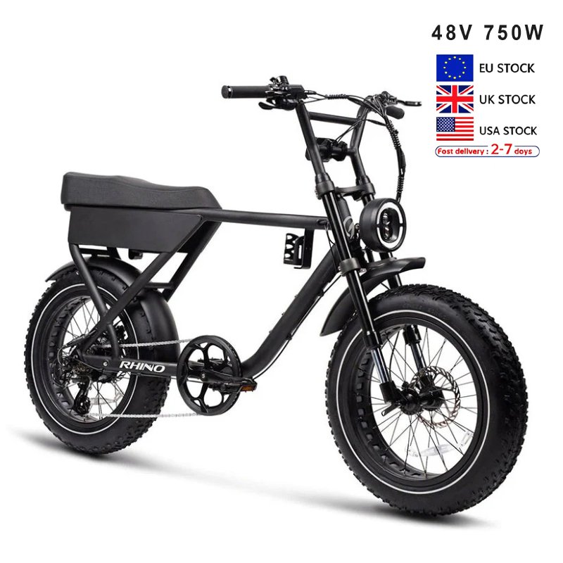Us Warehouse 750W E Bicycle Mountain E-Bike Best Suspension Electric Bike Sports Mountain E Bike For Adult