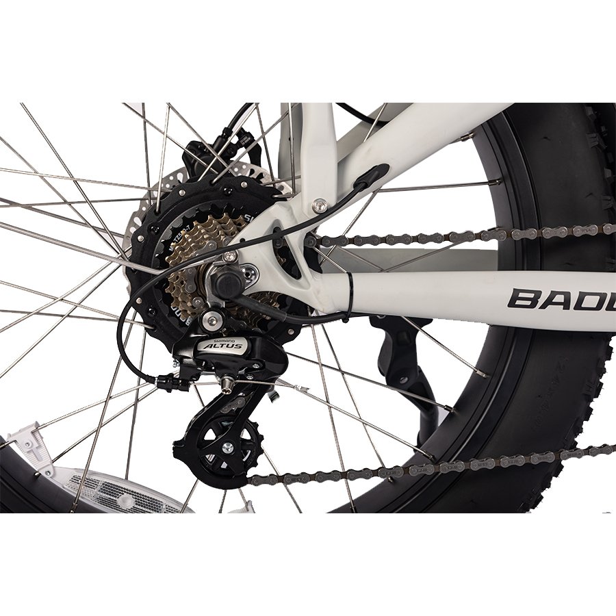 factory direct sale hunting bike 24 inch fat tire electric dirt mountain bike electric bicycle dual motor electric fatbike