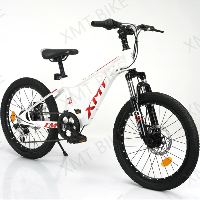 XMT Popular kids Mountain Bike 20 inch low price student mountain racing bike mountain cycle for kids DS