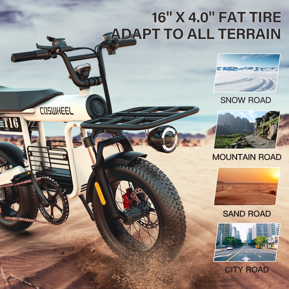 RTS Dutch Spot Electric Bicycle Fat Bike 48v 1000w Fatbike Ebik Cheap Electric Mountain Bike