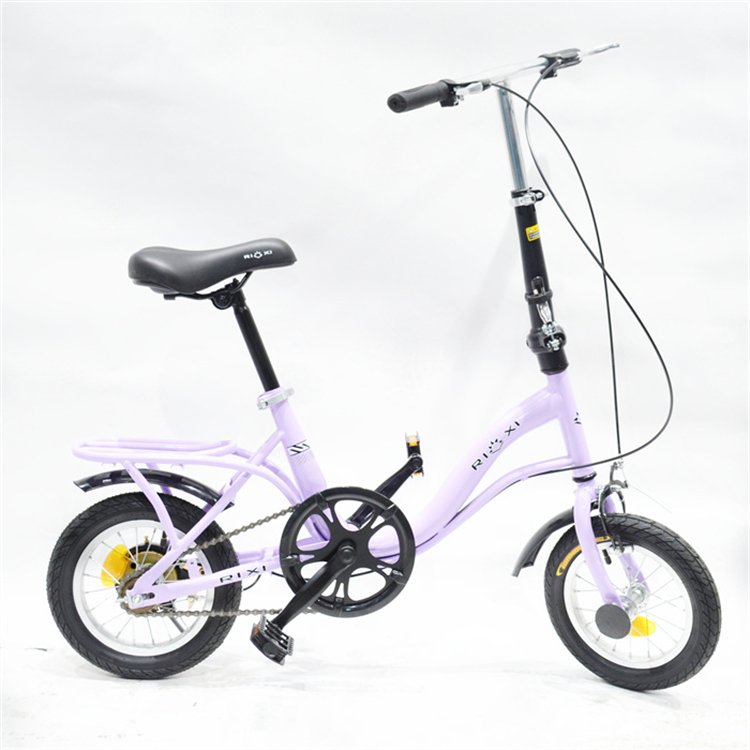 New Style 250W Front Loading Dutch Cargo Bicycle 2 Wheel Family Use Cargo Bike Electric