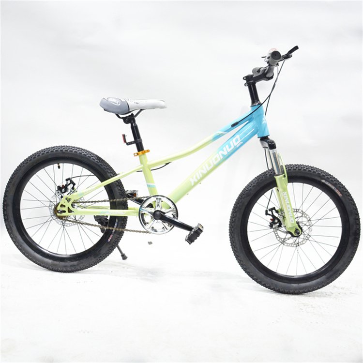 New Style 250W Front Loading Dutch Cargo Bicycle 2 Wheel Family Use Cargo Bike Electric