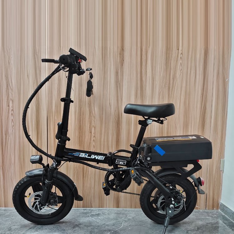 48V 20AH 70-80KM City Electric Bike for Adults Foldable Removable Battery Scooter ebike Folding mini Bicycle