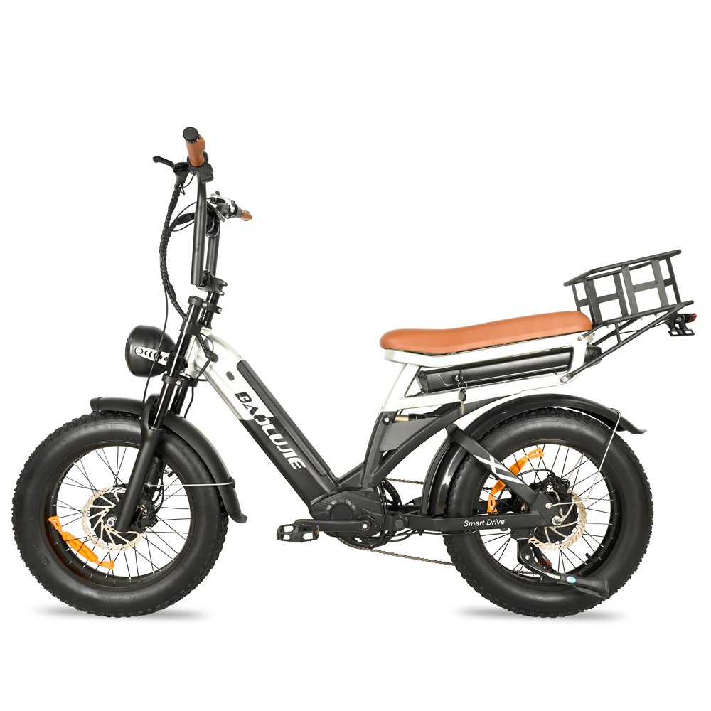 USA Warehouse Electric Cargo Bike Dual Motor Dual Battery 2000W 30AH Electric Mountain Bikes Long Range 150 N.M Electric Bike