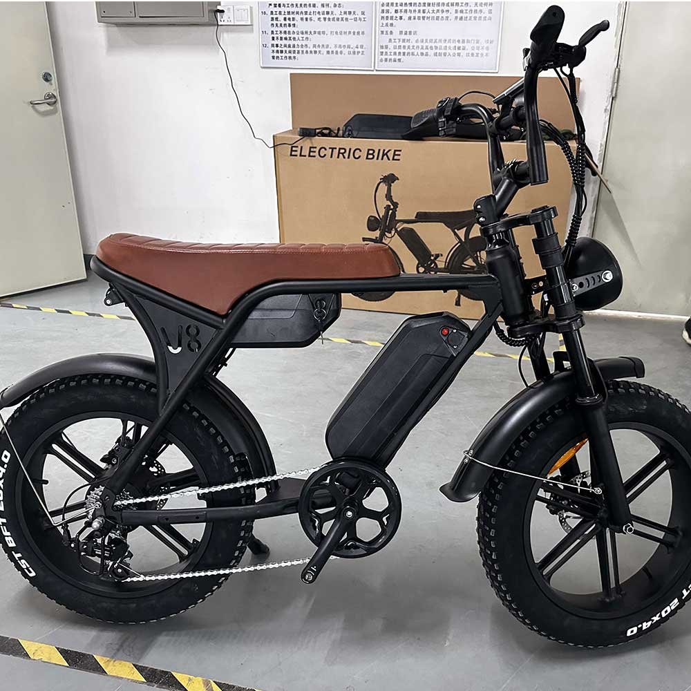 Two battery v8 250W 750W 1000W Fat Tire Off Road Electric City Bike Mountain for Adult Vintage Electric Bicycle