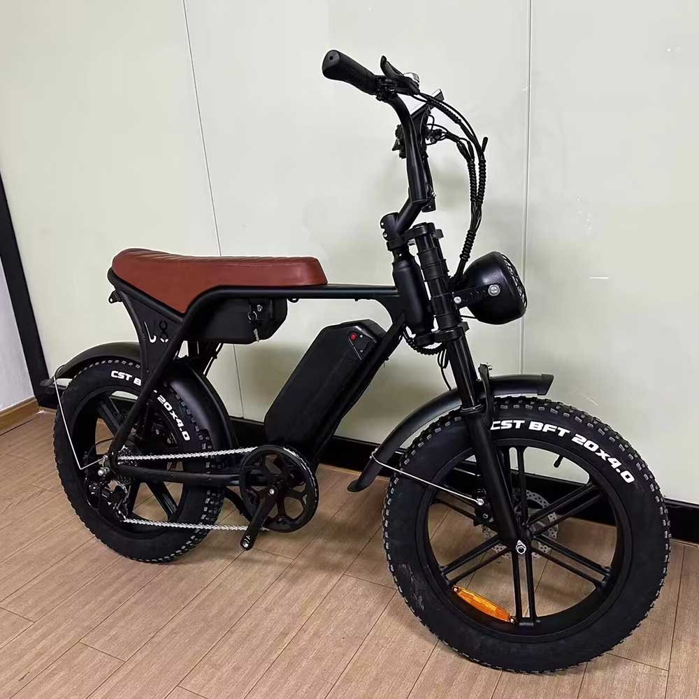 Two battery v8 250W 750W 1000W Fat Tire Off Road Electric City Bike Mountain for Adult Vintage Electric Bicycle