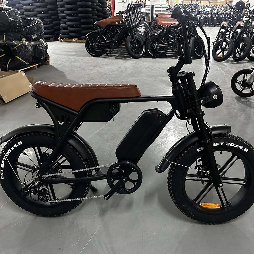 Two battery v8 250W 750W 1000W Fat Tire Off Road Electric City Bike Mountain for Adult Vintage Electric Bicycle