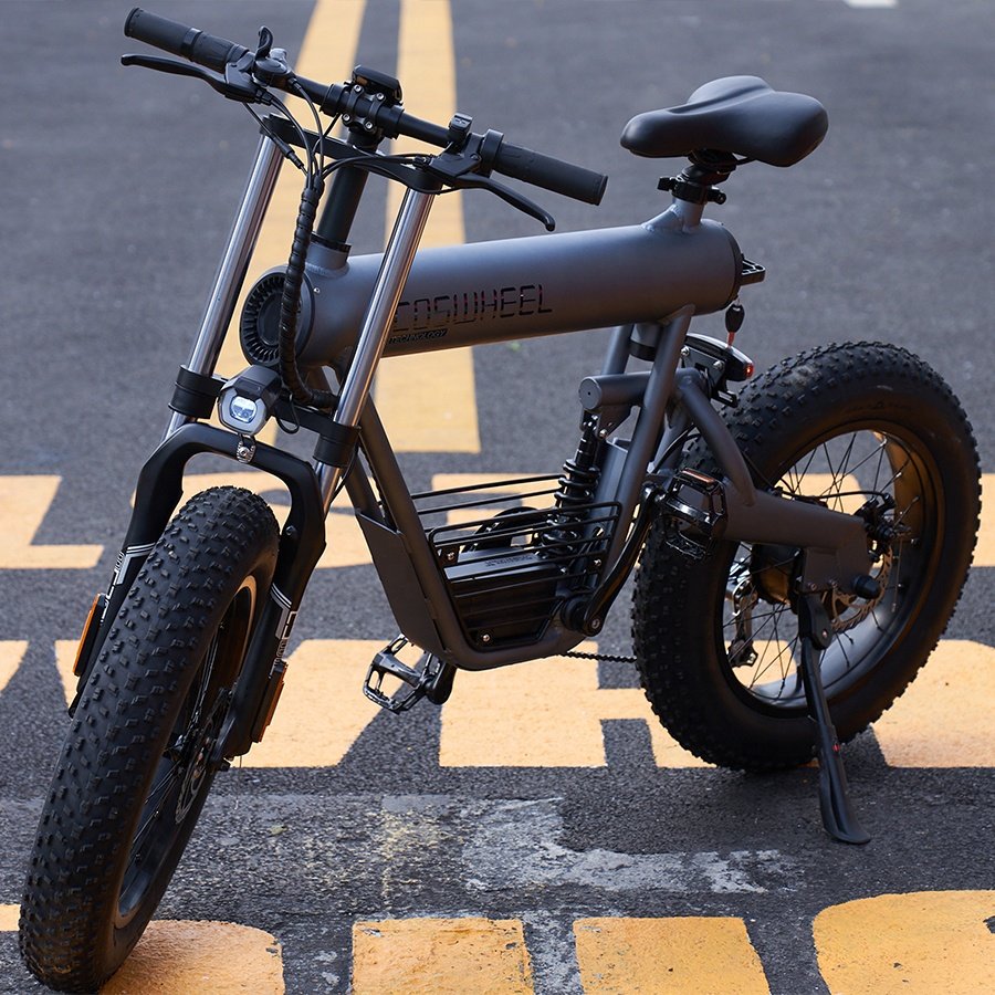 COSWHEEL T20 Electric Bike 48V 20Ah Adults E Cycle Velo Electrique Electric City Bike