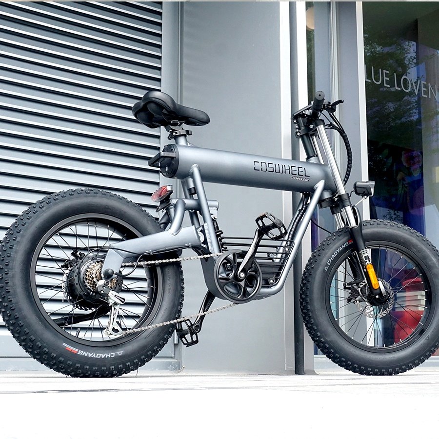 COSWHEEL T20 Electric Bike 48V 20Ah Adults E Cycle Velo Electrique Electric City Bike