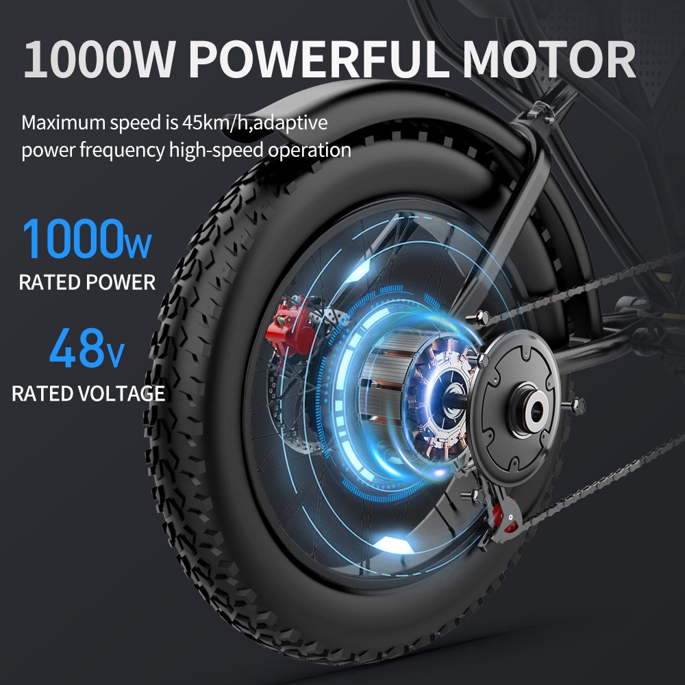 Factory Direct Sale 20Inch 7-Speed Adult Electric Mountain Bike 1000W Power with 48V 20ah