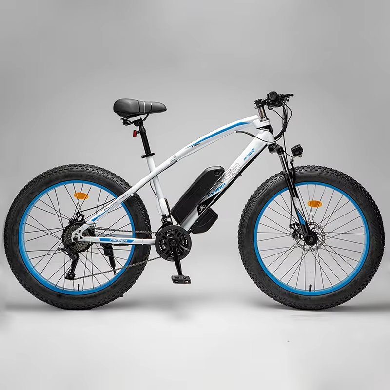 Japanese 250w 36v 26" Ebike City Mountain Electric Bikes Motor Bicycle Electric Mountain Bicycle Beach Cruiser
