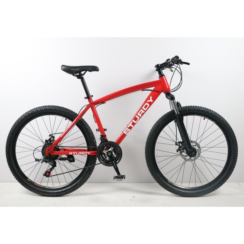 26 29inch mountain bicycle 21speed Steel Frame Aluminium alloy rim gear ring mountain bike