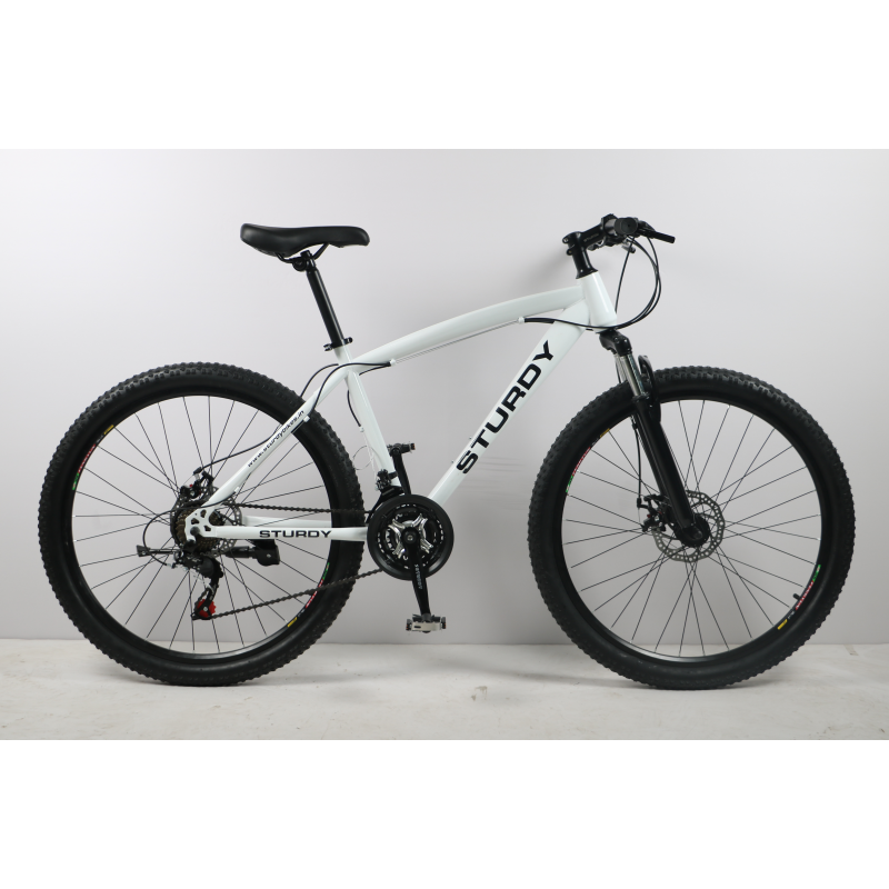 26 29inch mountain bicycle 21speed Steel Frame Aluminium alloy rim gear ring mountain bike