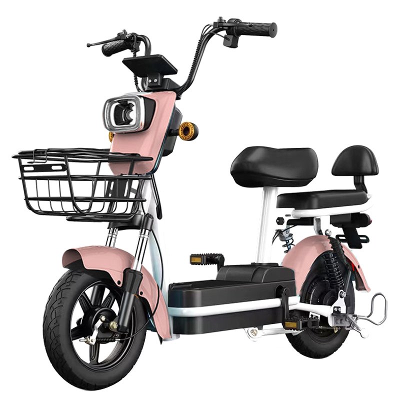 Paige Hot-selling national standard adult two-wheeled 48V electric bicycle electric bicycle battery car with pedal