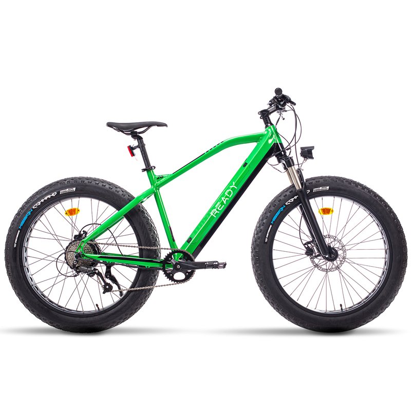 High Quality 48V 1000W/750W China Green Ebike with Lithium Battery Fully Electric Mountain Bike for Mountian/MTB Green 48V 750