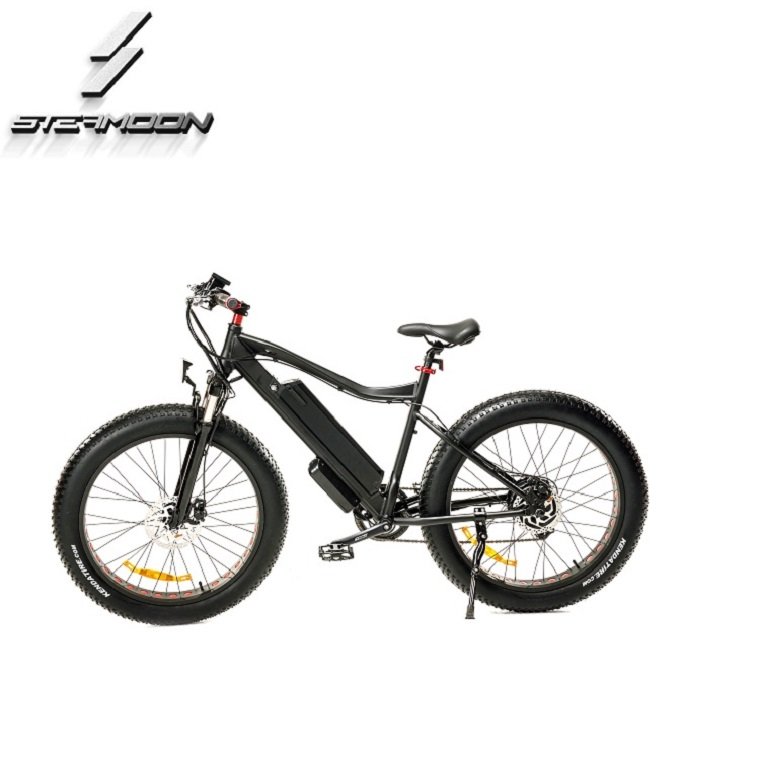High Cost Performance 1:1 Intelligent Pedal Assistant System PAS Ebike/ebicycle/electric Bike Lithium Battery 48V Rear Hub Motor