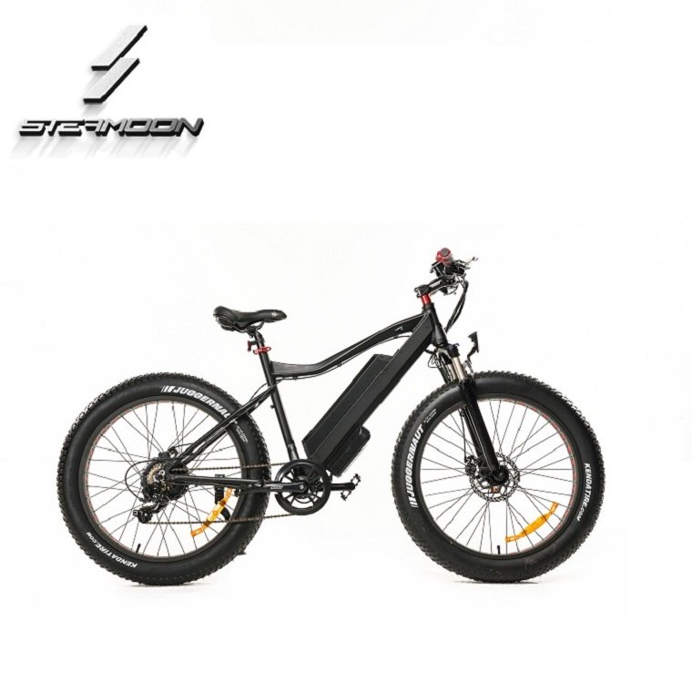 High Cost Performance 1:1 Intelligent Pedal Assistant System PAS Ebike/ebicycle/electric Bike Lithium Battery 48V Rear Hub Motor