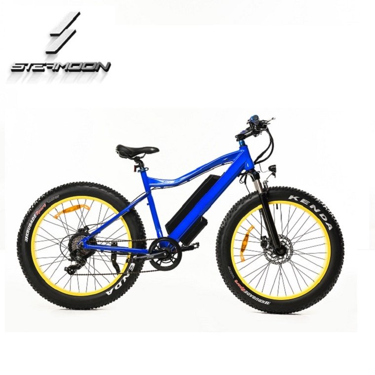 High Cost Performance 1:1 Intelligent Pedal Assistant System PAS Ebike/ebicycle/electric Bike Lithium Battery 48V Rear Hub Motor