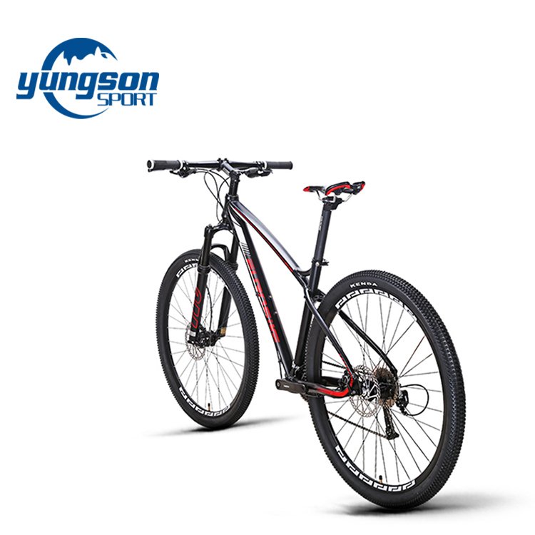 China Suppliers 29 Inch Mountain Bike With Aluminum Alloy Frame And Hydraulic Disc Brake