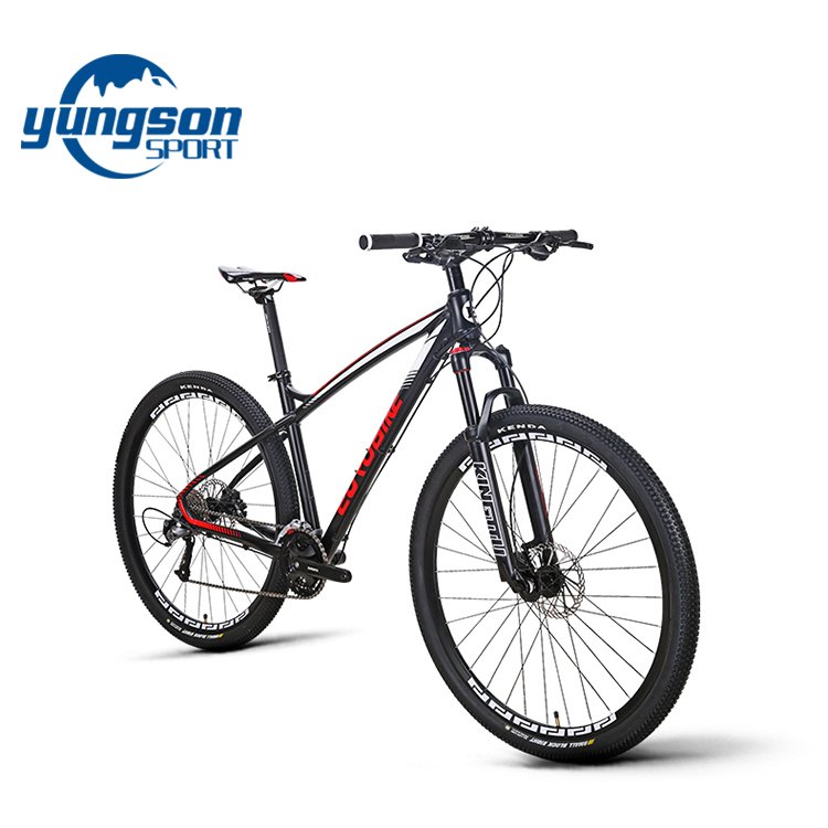 China Suppliers 29 Inch Mountain Bike With Aluminum Alloy Frame And Hydraulic Disc Brake
