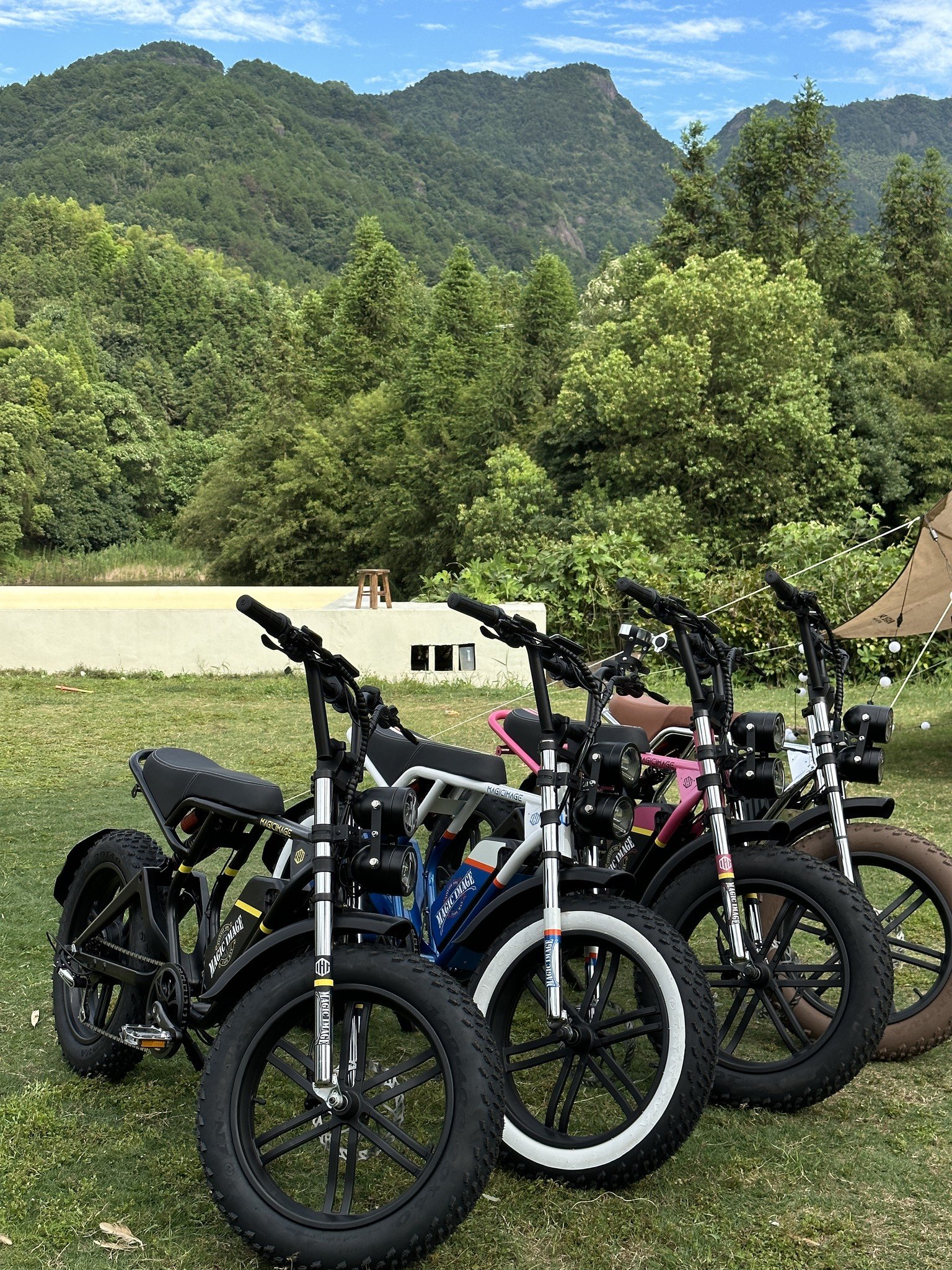 20 Inch Fat Tire ELECTRIC BICYCLE Off Road Electric Bike Mountain Bicycle 500W Motor Electric Bike Bicycle