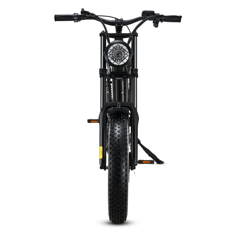 Riding Times Z8 7 Speed Mountain Bike 500W Electric Bicycle 48V 15.6Ah Lithium Battery Ebike 20 Inch Fat Tire Electric Bike