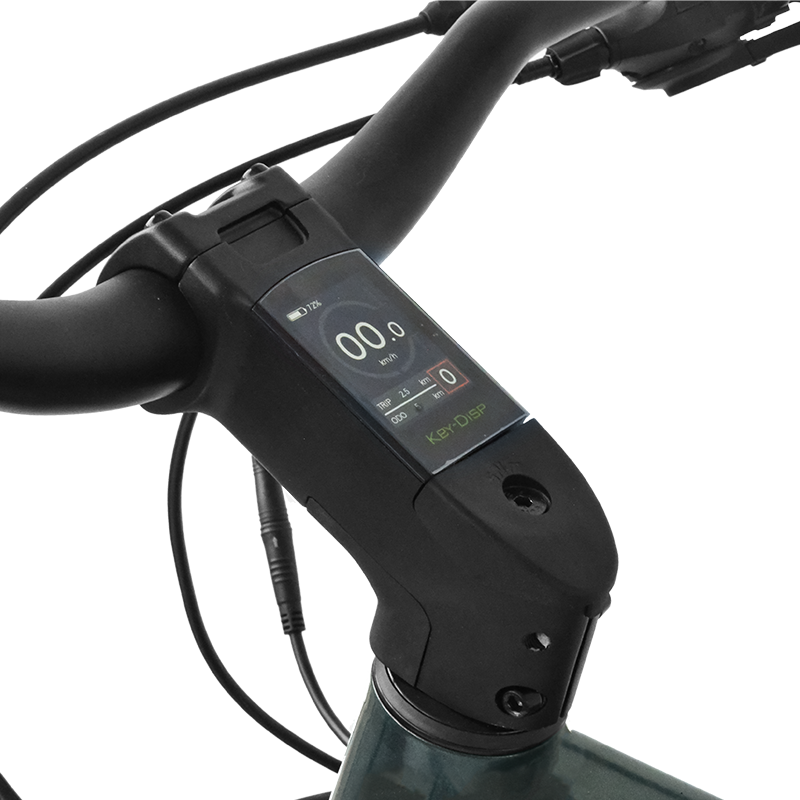 Powerful Electric Mountain Bike 350W Mid Motor Lithium Battery Aluminum Alloy Frame Adventure Activity