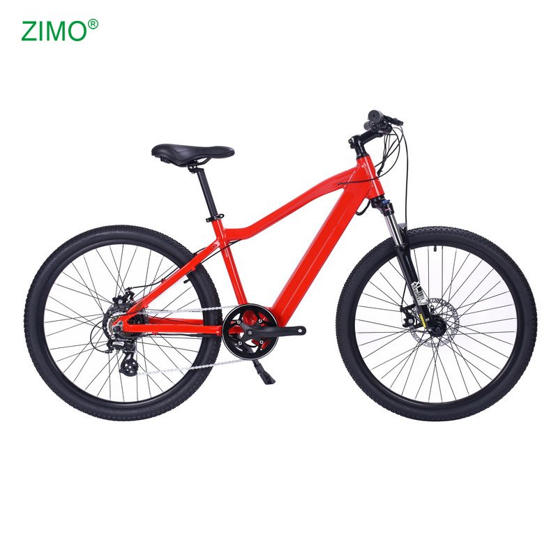 2024 36V 250W Pedal Assist Popular Electric Mountain Bike