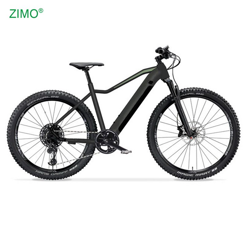 2024 36V 250W Pedal Assist Popular Electric Mountain Bike