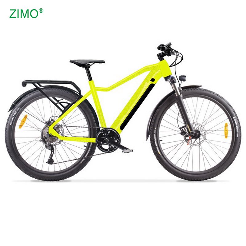2024 36V 250W Pedal Assist Popular Electric Mountain Bike