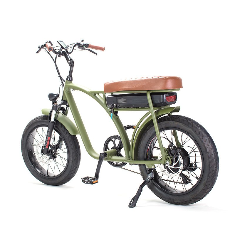China Supplier City Ebike Custom Logo 48V 12Ah Bicicleta Electrica Long Seat 20 Inch Fat Tire Electric Mountain Bike